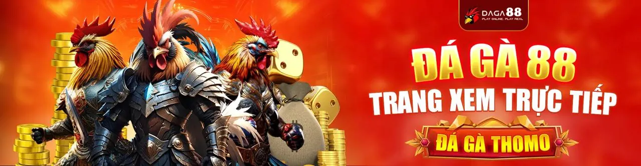 Điều khoản và điều kiện ưu đãi 11win code