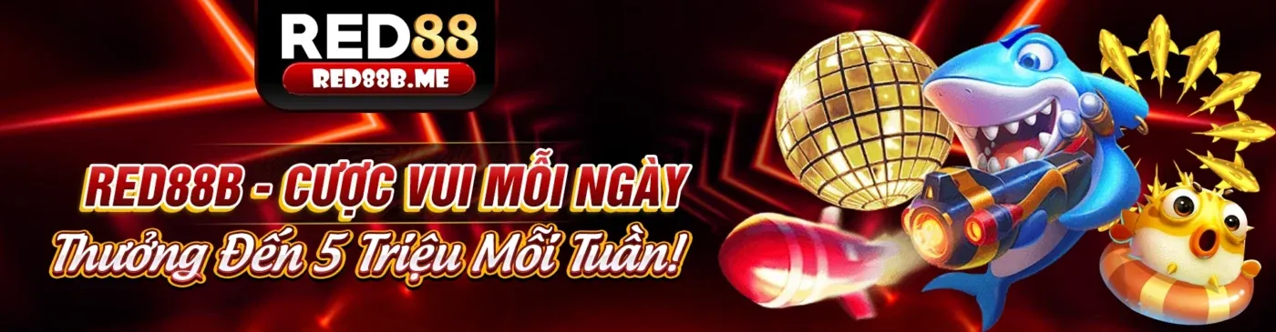Tin tức 11win code, cá cược trực tuyến Việt Nam